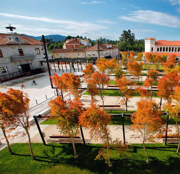 plaza tomiño seixo